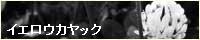 �C�G���E�J���b�N
