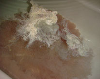 �K�g�[�V���R������